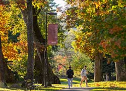 campus in the fall