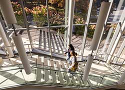 students walking on campus stairs