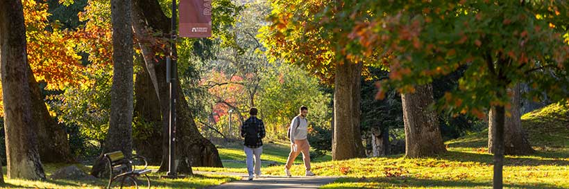 campus in the fall