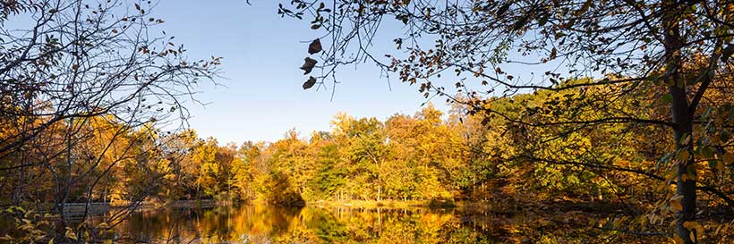 campus in the fall