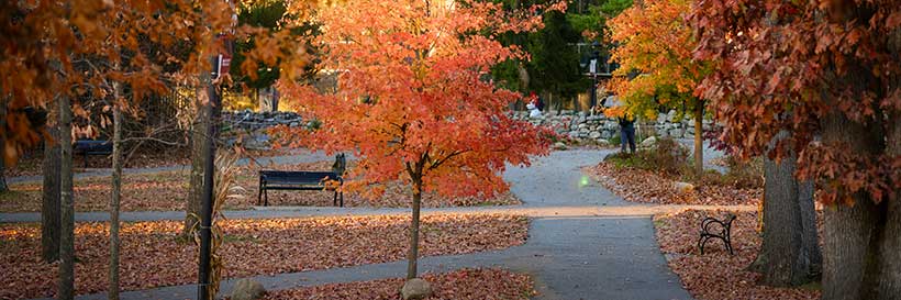 campus in the fall