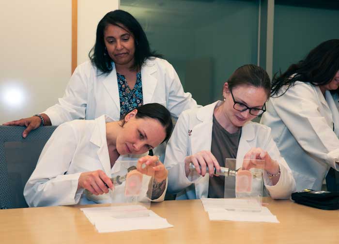 Estate Planning Overview